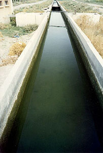 Kanal ohne Wasserpflanzen